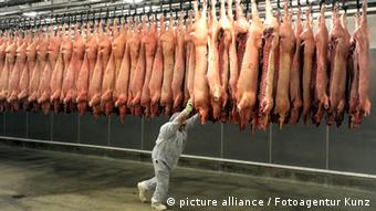 The embargo introduced by the Import of meat from the EU hit German pigsters