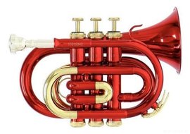 Trumpet Roy Benson PT-101R