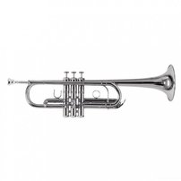 Trumpet Roy Benson TR-402CS