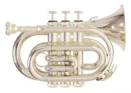 Trumpet Roy Benson PT-101S