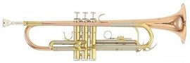 Trumpet Roy Benson TR-202G