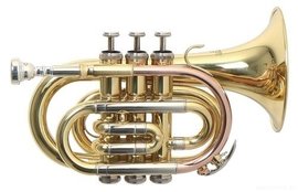 Trumpet Roy Benson PT-302