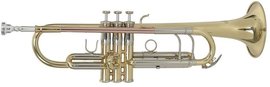 Trumpet Roy Benson TR-403 Bb