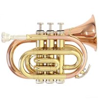 Trumpet Roy Benson PT-101G