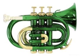 Trumpet Roy Benson PT-101E