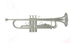 Trumpet Roy Benson TR-202S Bb